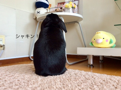 0A7F30C8-36CE-4A4F-900C-C4887C937F75