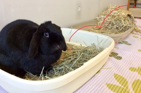 3110747B-CF5A-4DE7-8DB7-14797BAD51FE