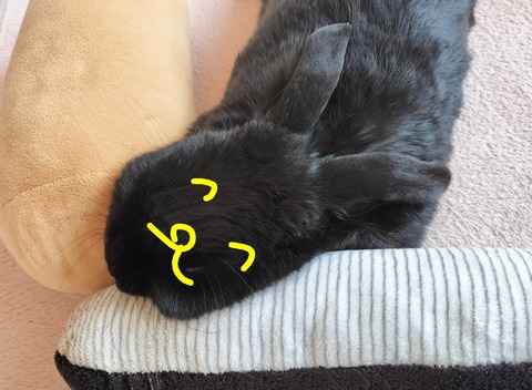 3D5EEED1-ED59-4C50-8AD8-C8C70C2D65D9