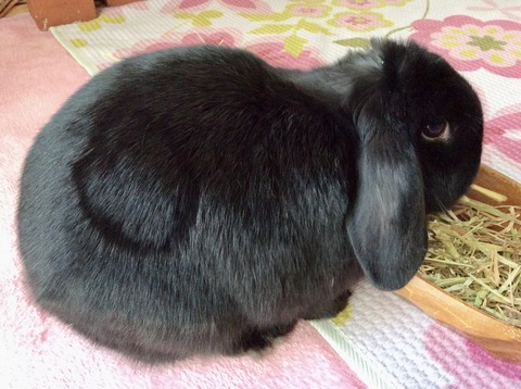 88435564-EF10-4A24-9116-5A5D129FA33B