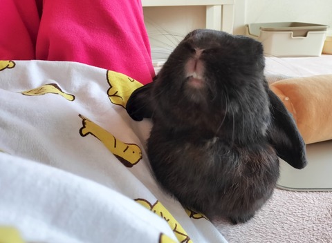 A58092C4-DC99-4529-B681-8F5E6060C47A