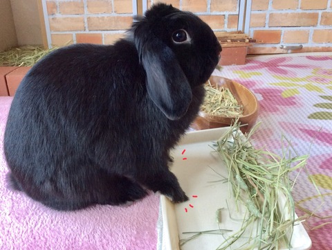 41B2190C-2A51-4E96-89B2-8B985E16283E