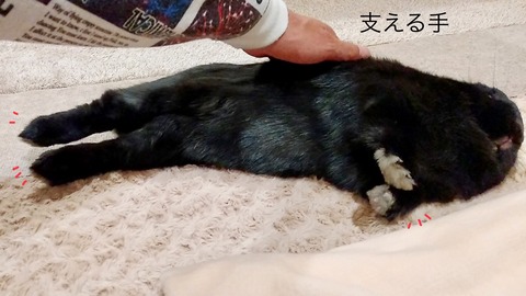 BFCD54FC-0C25-4CA3-BAC0-309ACABFB91A