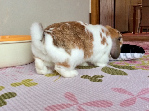 AAE6786D-77E6-4151-AC17-1D5EEC74DF83