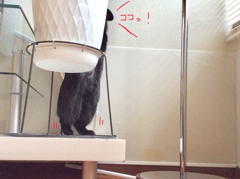 327A2A18-C2EC-4D95-8A3E-6E77A08083A9