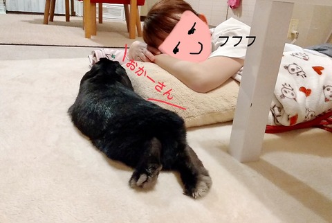 EAD2ACE4-9855-490F-82F0-F04CF267A6D2