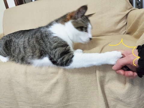 ED222EE9-98C0-4E1C-AB62-8E6C0FA891A4