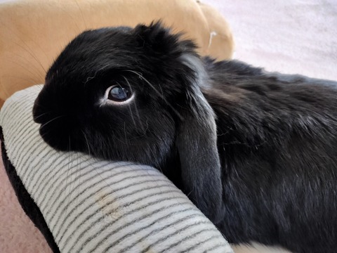 8115CE49-843E-4C99-91AB-F61F861C0183