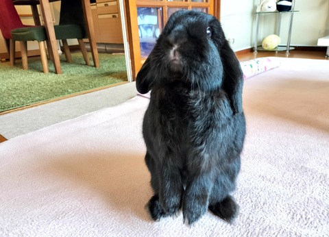 00A3CCD0-752B-4A3F-958F-40BEB25A4209