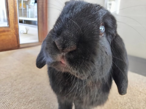 B34DEE59-0346-4878-AE43-42AE8D6FF57C