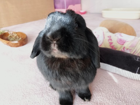 945B4D38-E97C-4177-9ED6-98471273C360