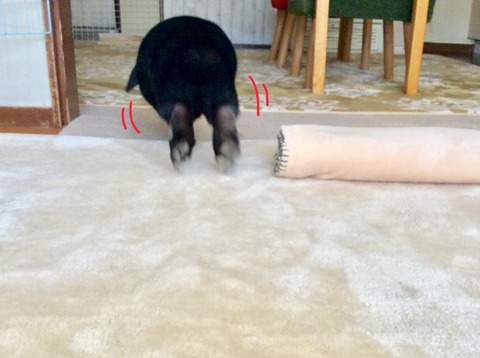 EEC4D2D1-E912-4D29-AB64-3357ADA050A3