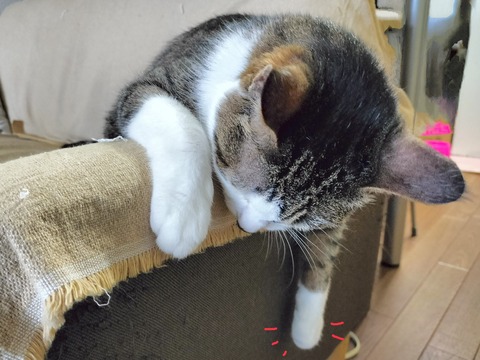 6220F71A-69DC-42EE-AC7E-08101C1A939A