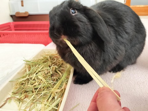 D81E9610-F6BA-450F-8E2A-2FAFECE3993C