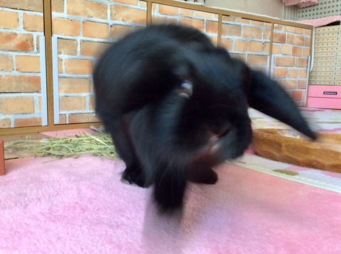 65135AA9-01D5-49F2-954B-4A6385EEBA26