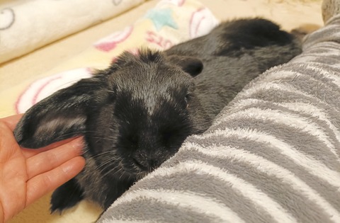 5DADFB14-A102-417A-B823-CD77D969DE8A