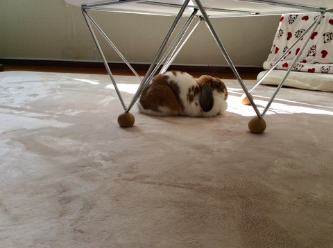 6DB84A09-5B8E-4B8A-82F7-04904B0FC504