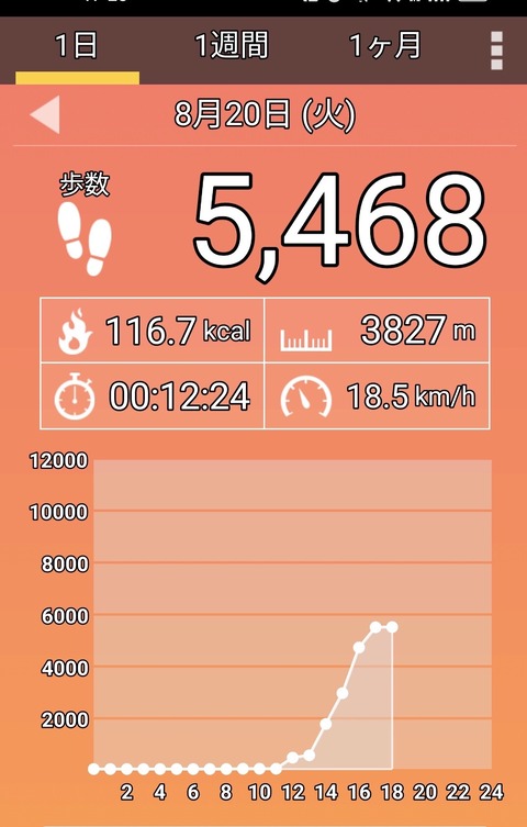 13AF23EA-298E-43A1-AF4D-DC330E637007