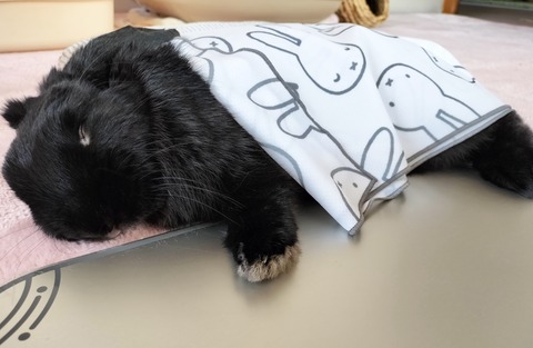 1FDBD0FB-CCC3-48A6-B7A7-B90D902F6786