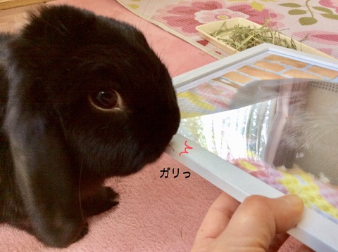 5339F9BB-5CBE-45C3-8C1B-15732034A6D2