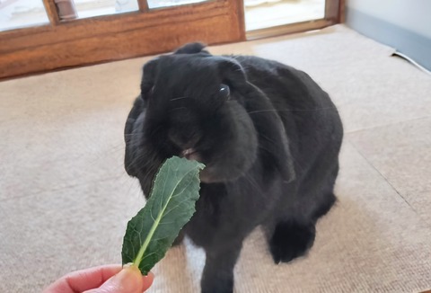 C97D20B1-4E9F-434C-BAAD-83DBE96A2F8E