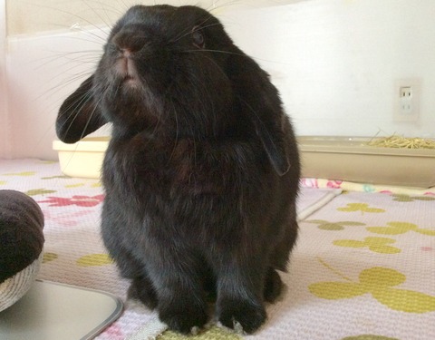 EC31EEB2-BDFE-4F55-81A5-E0398A9B3CC2