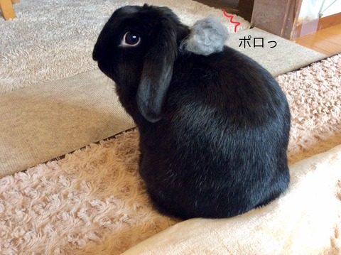 9A8E4C65-B159-4E4B-B74B-B26AE4BA58C3