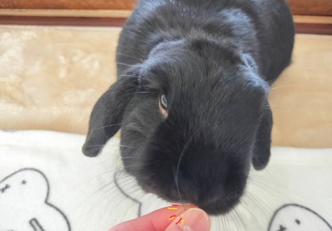 4A6A7D6D-E6D5-413E-BCA0-F400A486BAE1