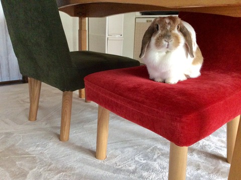 749F3F0D-B4A1-4F05-8C16-00949023891E