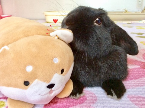 70B4E617-8EC7-4B7A-A8BE-FCE760D697C5