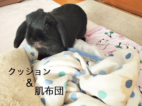 CFA555B4-EF4D-417B-BC29-905E9850A98A