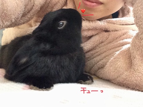 22F0F4B9-48F6-4EDD-B113-A2A4E853D494