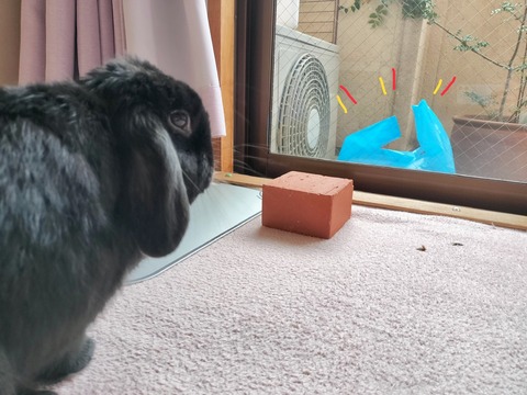 69D08336-EB95-4F86-938C-F4FBC520F423