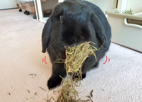 61FAB5E1-36A4-4A2F-8DF9-309DFEC8E7A6