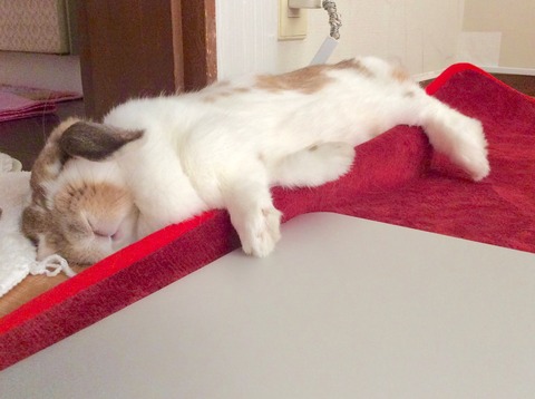 FF74F229-34AE-46E3-9C47-8001CA0524D8