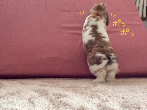 6CAFC9E2-BDA7-4DD7-8296-32337D91A7E0