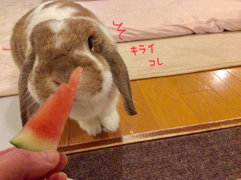 930EF2E0-D846-42C0-BFC6-9D41EC39AA8E