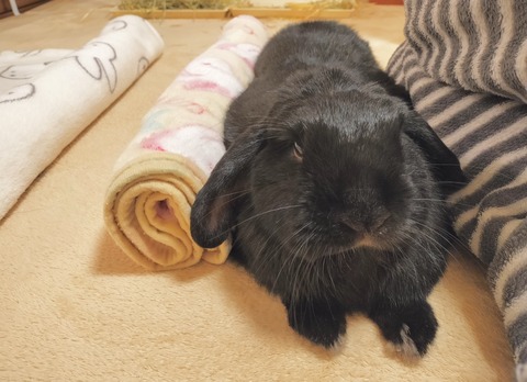 F6C8CF03-407E-474A-9C25-A56AD1E8C4CD