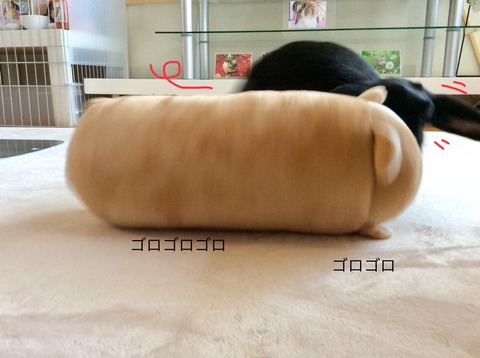 FC421FF4-BD54-4489-9F2B-1FE1AC892103