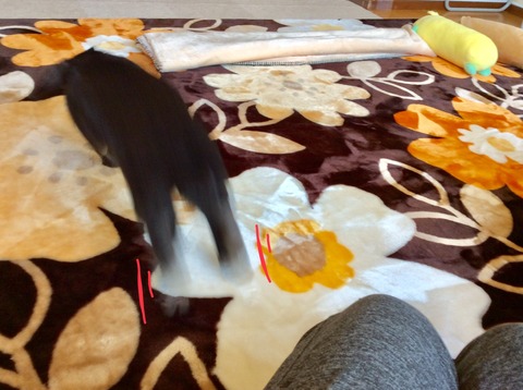 9CF0DB9A-F3D4-4EFB-9F6B-061452EC0C18