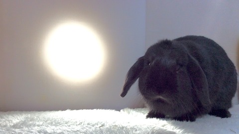 C8614A28-3C51-4444-B51F-A0A85294AD47