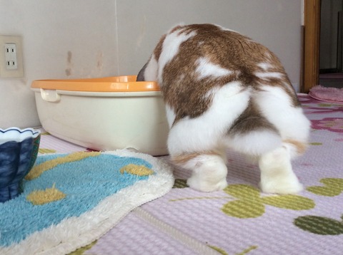 39EB6301-810B-4867-B7D3-4503E2B4219A