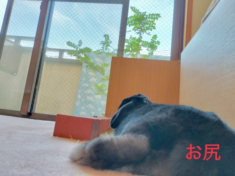 CF1A2C78-0C55-4523-BA38-FFB95F35D874