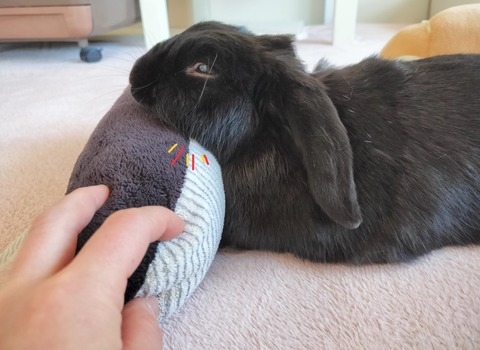 3C63E3AE-AC30-472D-8613-00A7D08871F1