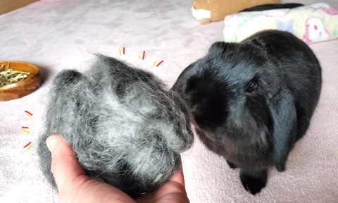 7427EE6C-2935-41D6-8521-4908091EDA92