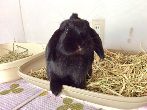 93728827-BFD7-43DB-BE4A-89A89B503D52