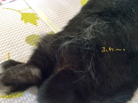 CD33D445-D67C-4D08-92CC-50D37F921653