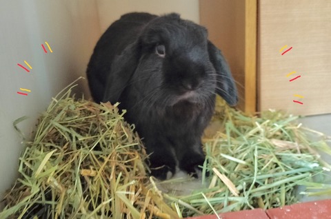 4F09C0B9-3E15-420C-924A-70FB0EE25211