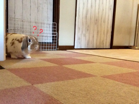 56ABD082-B5FA-42F2-A336-337FCEB08F06