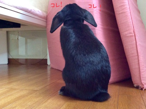 48E0FF1B-8F7E-49EB-84D6-5B37D7D9E7B2